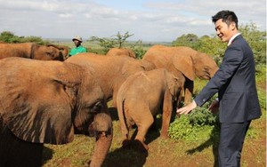 Tài tử Lý Thần kêu gọi bảo vệ động vật hoang dã